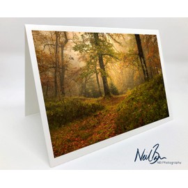 Neil Barr Loch Ard Forest, The Trossachs - Scotland Greeting Card by Scottish Landscape Photographer Blank Inside