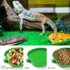 2 Pcs Leaf Reptile Food Water Bowl Plate Dish for