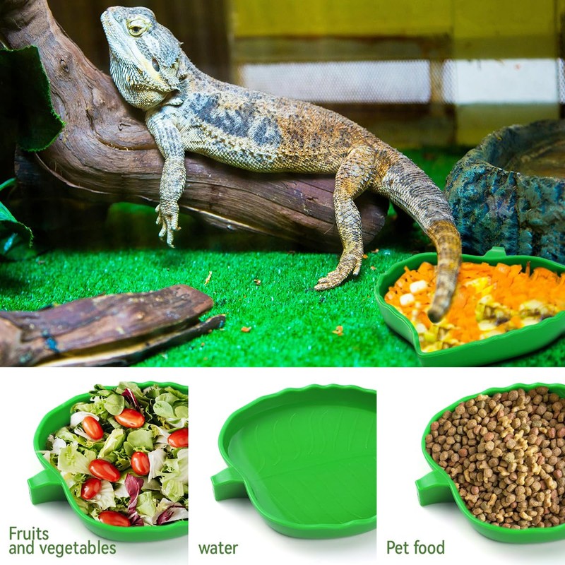 2 Pcs Leaf Reptile Food Water Bowl Plate Dish for