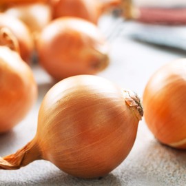 Onion Seeds - Hybrid - Yellow Granex PRR F1-1 Oz ~9,000 Seeds - Allium cepa - Farm & Garden Vegetable Seeds - Non-GMO, Hybrid, Annual