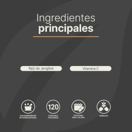Vitamina C Con Jengibre De 120 Cápsulas. C Blend B Life