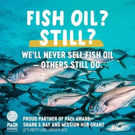 Vegan Omega 3 DHA: Algae Oil, Most Reviewed, Carrageenan Free, Sustainable, Tested, No Heavy Metals, Fish Oil Alt, Plant Based Omega. Supports Heart, Brain, Joint Health w/DPA