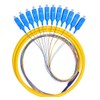 Lianshi 12 Fibers SC Single-Mode Color-Coded Fiber Optic Pigtail