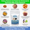 Kidney Restore Chicken Cat Treats for Kidney Support & Function.