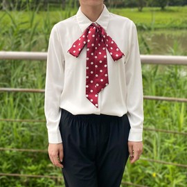 Women Polka Dots Skinny Scarf, Long Skinny Neck Tie For Scarves bags/Waist Belt NWJ-8 (Black and White Polka Dot)