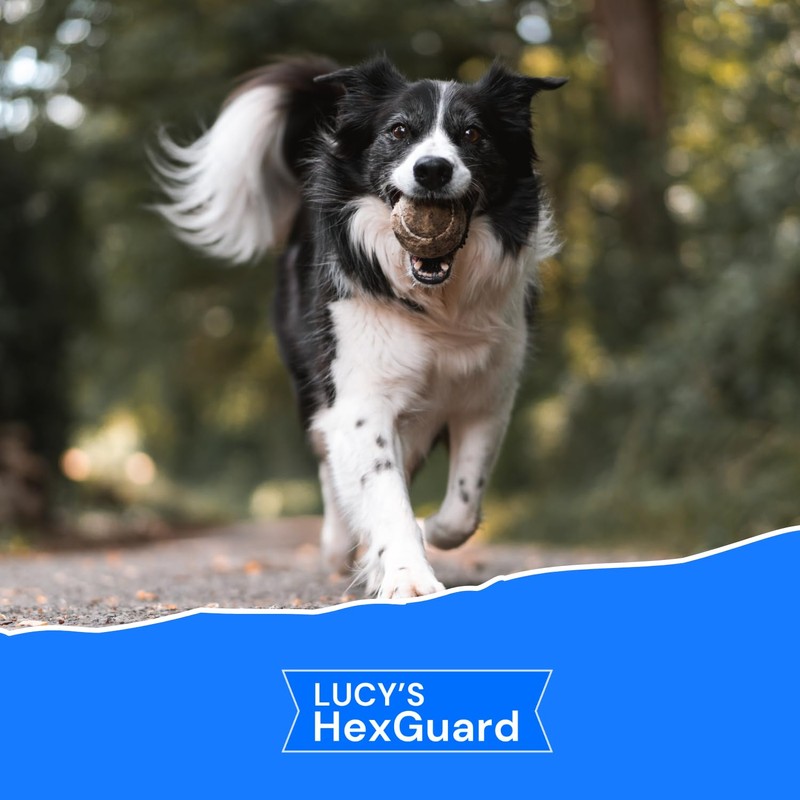 Lucy's Pet Skin Irritation Relief Shampoo - Soothes Rashes, Hot