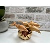MAISONICA Dolphin Family Ornament Sculpture - Hand Carved Wooden Art