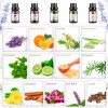 Hanolly Kit De Aceites Esenciales Para Aromaterapia 26 X 6