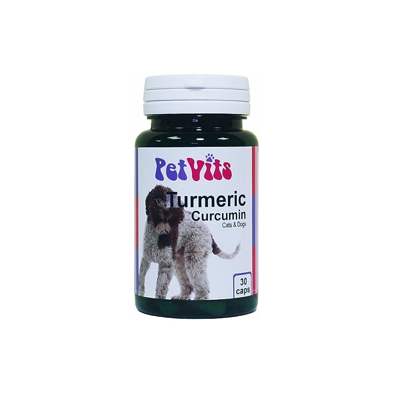 PetVits Turmeric Curcumin for Cats and Dogs : Digestive and