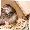 Generic Bite Resistant Wooden Hamster House with Multi Chamber Tunnel