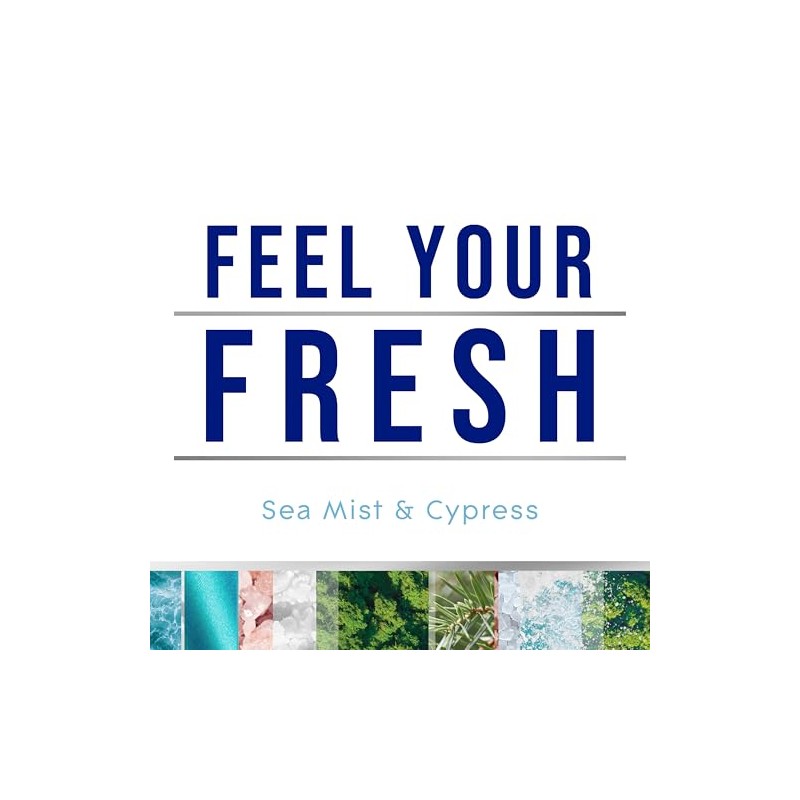 Glade PlugIns Refills Air Freshener, Sea Mist & Cypress, Scented