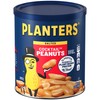 PLANTERS Salted Cocktail Peanuts, Plant-Based Protein, Bold & Savory Party