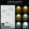 LUXON LED Edison Bulb Dimmable Vintage Style Light Bulbs 6W