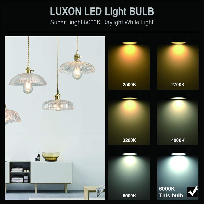 LUXON LED Edison Bulb Dimmable Vintage Style Light Bulbs 6W