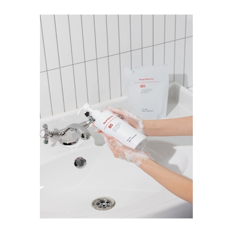 Pro B5 Zero Cleanser 270ml / 프로 B5 제로 클렌저