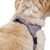 HUNTER SOHO Mini Dog Harness, Colour: Light Blue, Cowhide Leather,