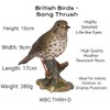 Vivid Arts Garden Birds (Song Thrush)