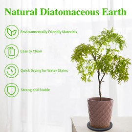 Yoanxong 2 Pack Plant Trays for Pots, 6 Inch Diatomaceous Earth Stone Plant Trays, Diatomaceous Earth Round Indoor Plant Drip Tray, Quick Drying Diatomaceous Earth Plant Dish (Grey), Dark Gray