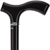Royal RC Canes Sleek Black Walking Cane with Silver Collar
