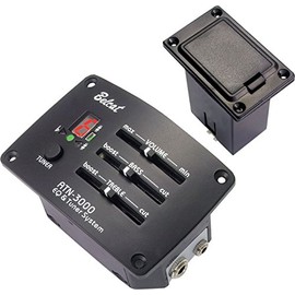 Belcat ATN-3000 Preamp with FND Tuner