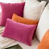 MIULEE Velvet Soft Soild Decorative Square Throw Pillow Covers Cushion