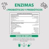 Enzimas Digestivas Probióticos Contiene 7 Enzimas Digestivas Probióticos Lactobacillus acidophilus