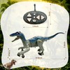 Remote Control Velociraptor, Dinosaur Toy for Kids 4-12