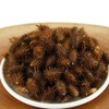 Changja Dokkomari 300g Domestic Dokgomari / 창이자 도꼬마리 300g 국산 독고마리