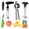 Pineapple Corer Peeler Slicer Cutter, Lemon Press Squeezer Manual Juicer,