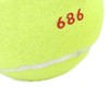 3Pcs Training Tennis Balls 2.6in Chemical Fiber Silicone Accurate Portable