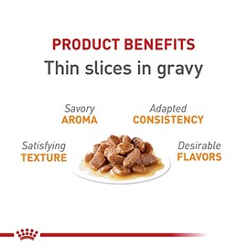Royal Canin Royal Canin Feline Care Nutrition Hair & Skin Care Thin Slices in Gravy Canned Cat Food, 3 Ounce (Pack of 24)