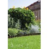 Gardena Flower Bed Edging Fence Brown 9cm 530-20 Product Warranty: