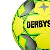 DERBYSTAR Futsal Ball No. 4 Ball BASIC PRO TT FUTSAL