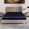 Treaton, 7-Inch Medium Firm Water Resistance Nylon Vinyl Foam Mattress,