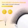 NAGARAKU 5D Lashes, W Shape Eyelash Extensions VERSION 3.0 Soft