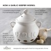 Fox Run Ceramic Garlic Keeper White Food Storage Container with