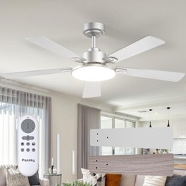 Passky Ceiling Fans with Lights, 52 inch Sleek Ceiling Fan with Light and Remote Control, 3CCT, Dimmable, Reversible, Noiseless, Silver Ceiling Fan for Bedroom, Living Room