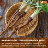 FreshDrinkUS, Premium 2oz Burdock Root Powder, 100% Natural & Pure