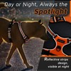 Eagloo Dog Harness No Pull, Walking Pet Harness with 2