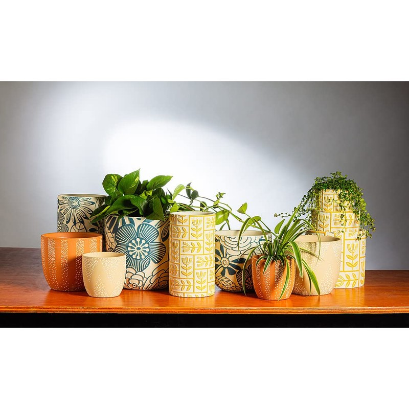 Loons Dishcloths. Set of 2.