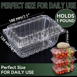 Qinyoung 100 Pack Berry Containers 1 Pound Plastic Fruit Containers with Lids Vented Clamshell Clear Produce Baskets for Fridge, 7.1 x 4.7 x 2.4 Inch Storage Boxes with Covers for Strawberry, Home Use