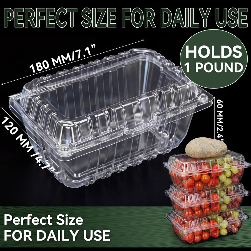 Qinyoung 100 Pack Berry Containers 1 Pound Plastic Fruit Containers