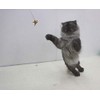 Cat Dancer 101 Cat Dancer Interactive Cat Toy, 5 Pack