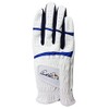 Arnold Palmer APG Golf Gloves APG-116 Men's White X Navy
