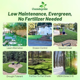 Outsidepride Perennial White MiniClover Seed - 1 lb. Dwarf, Small-Leaved, Drought & Wear-Tolerant Micro Clover Seeds for Lawn, Ideal Low-Maintenance & Easy to Grow Ground Cover Seeds for Home Yard