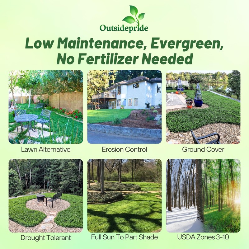 Outsidepride Perennial White MiniClover Seed - 1 lb. Dwarf, Small-Leaved,