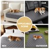 H.VERSAILTEX Couch Cover Chenille Pet Fuzzy Sofa Covers for 2