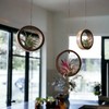 It Blooms 3 Piece Bamboo Air Plant Rings - Hang