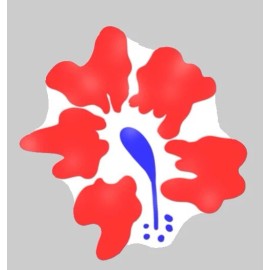 Carod PUERTO RICO FLAG, PR STICKER DECAL, BANDERA BORICUA-AMAPOL