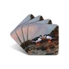 Puffins Beak Bashing Drinks Coasters by Wildlife Artist Julian Friers